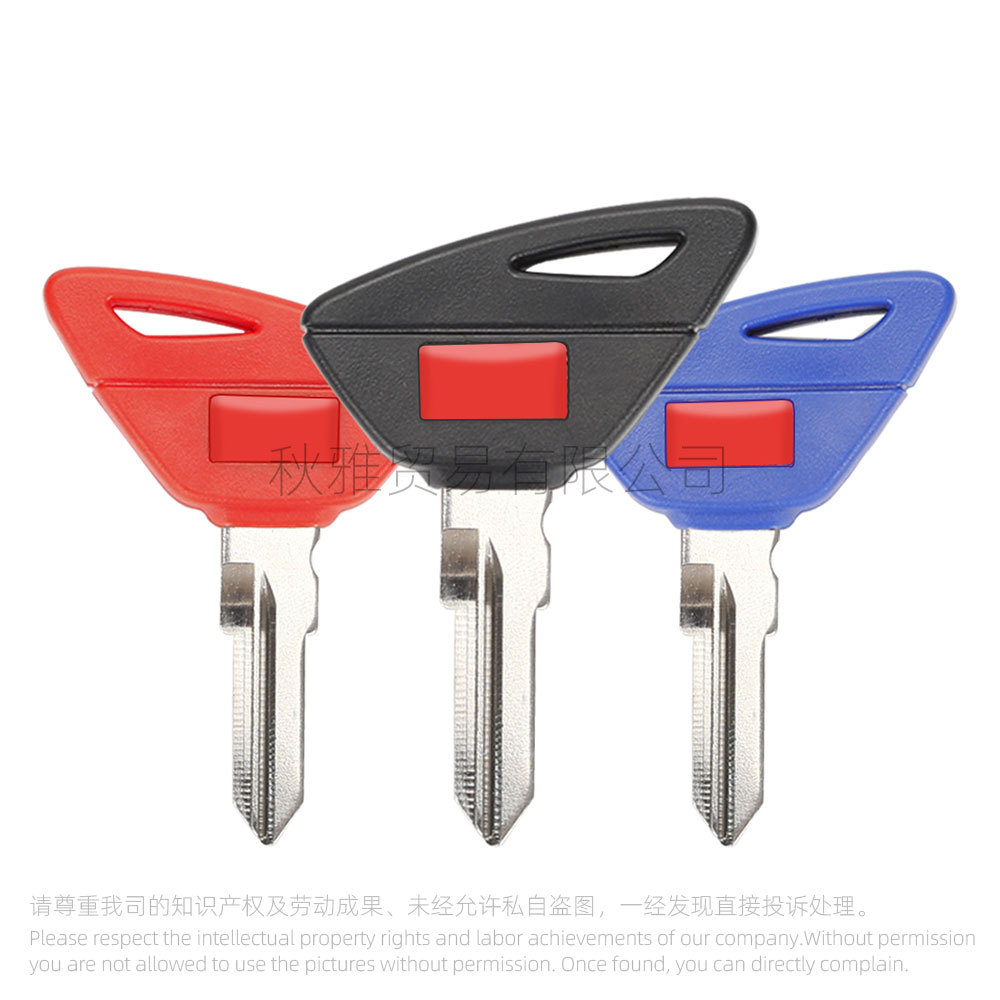 Suitable for Aprilia Motorcycle Rs660 Rs 660 Gt200 Imported Key Embryo with Chip Key Embryo