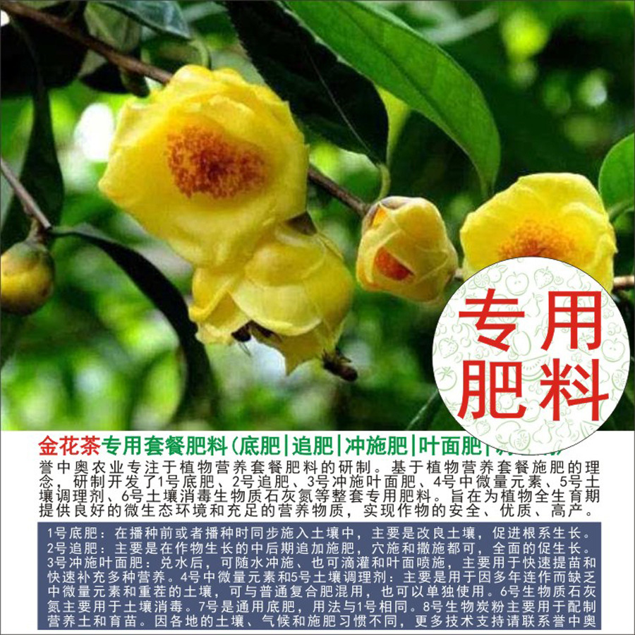 50�����а½𻨲�ר���л��ʸ��Ϸʵ׷�׷��Ҷ��ʳ�ʩ��ˮ�ܷ�