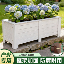 ����ͥԺ�������ľ�Nֲ���L���Ό�ľ���ۻ������⌣���̨�N����