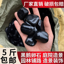 黑色鹅卵石庭院铺地花园造景装饰大小石头原石黑石天然雨花石子