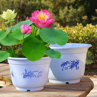 �o��ˮ��ɻ���Gֲ˯ɏ�����ش����ϼӺ���մ��~�X����ɏ���