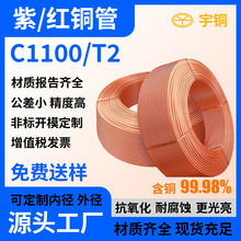 T2���~�܏S�� Ó֬�~�� �������l �߼��� �����g���ܺ�