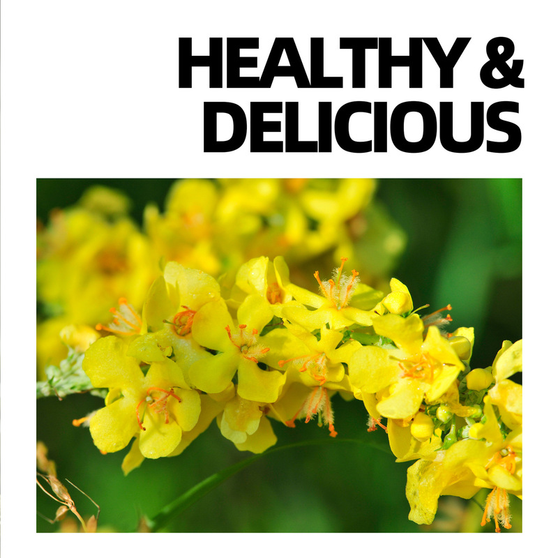 外贸跨境 Mullein Leaf Lung Tea bags 肺部清洁护理毛蕊花叶茶|undefined