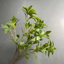 �羳��֦�R��ľ�Gֲ���滨�ٻ��Ƶ�[�O�Ӽҿ͏d�b��쾰ֲ�����l