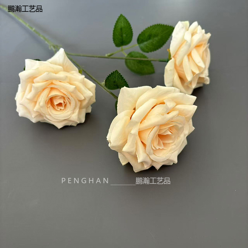 샴페인