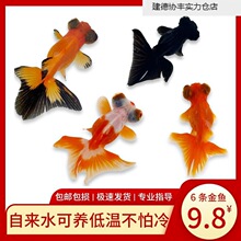 С���~���~�^�p�~��ˮ��ˮ�t�~�\���~���B�ͻ����\���^������~Դ