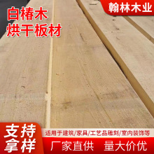 白椿木加工河南板材生产白椿木烘干板材工厂直供椿木定尺原木材料