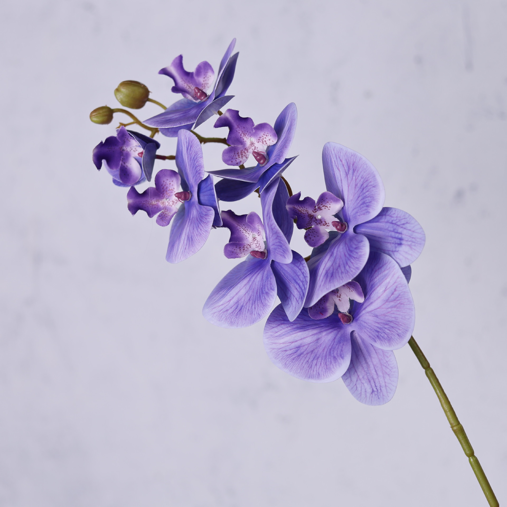 Impresión 3D de 7 cabezas de orquídeas mariposa flor de decoración de flores de alto nivel flor de nicho decoración floral decoración de sala de estar