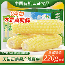 ���r�ЙC��Ŵ���װ��ճŴ����������b���b�����׷ǖ|����ʳˮ��