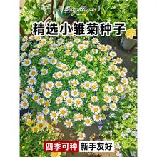 ���N����С�r���ļ��Nֲ�_����ʾջ��N���ݬ��������̨���Ի���