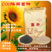 ������COD��������ˮ̎�������ؚ������؏�����COD��������������