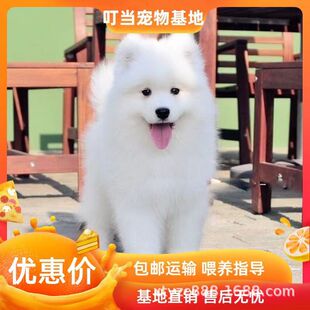 ���l���N�_ĦҮѩ��Ȯ������w���������o�lȮ����Ȯ��ͥ��HȮ