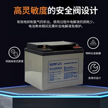 LEOCH��ʿ��늳�DJM1240S�U����S�o12v40AHֱ����UPS�Դ��늙�