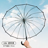 Japanese fresh automatic umbrella, wholesale