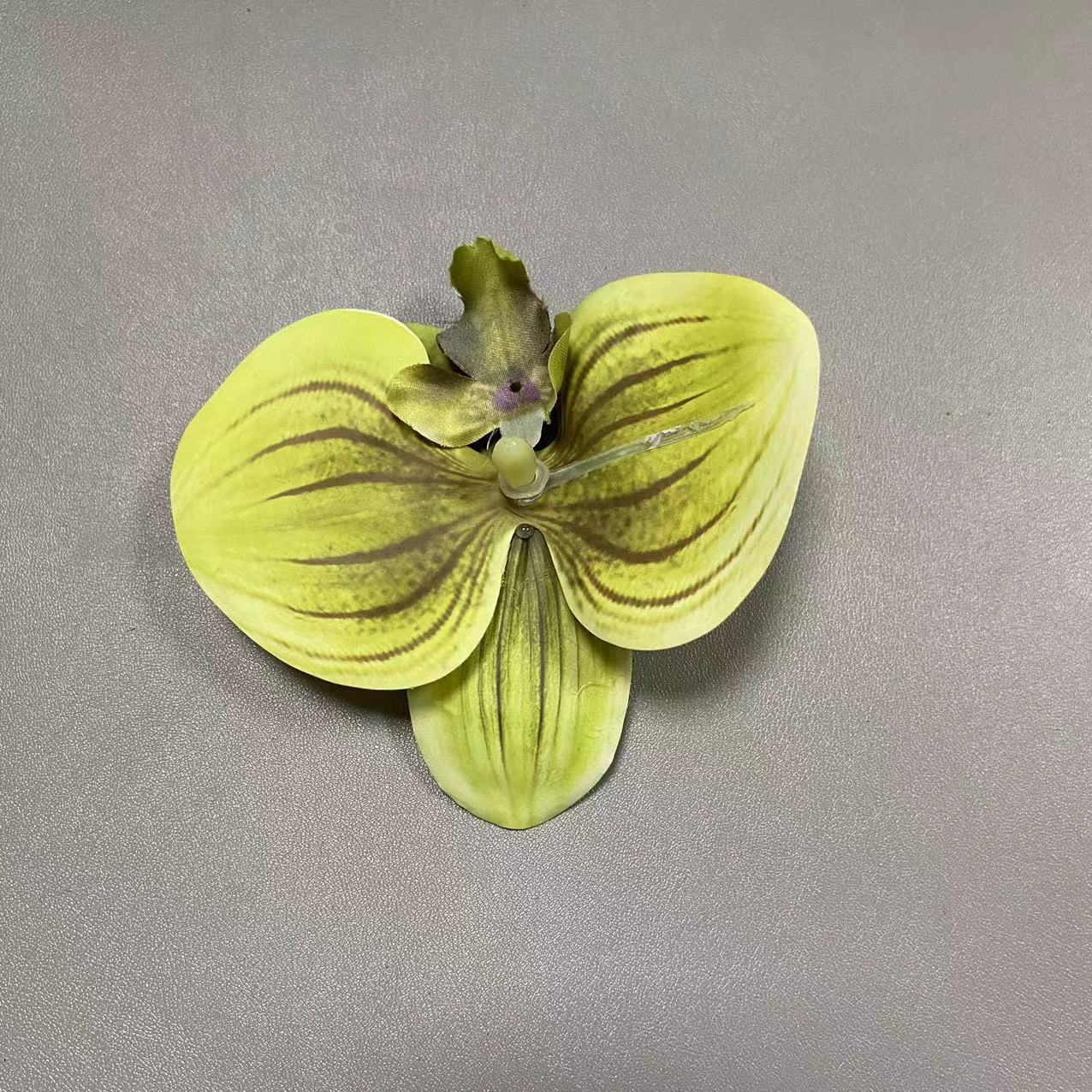 4호