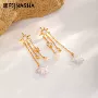 星星小众金色流苏耳钉