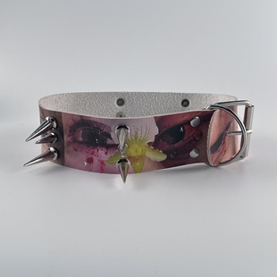 �۾�choker���ĵ�����ж�l��cos������ϵ�߼�����ɫ�첱