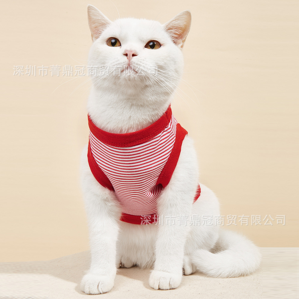 Spring summer breathable vest