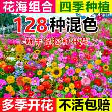 Ұ���M�ϻ��N���ļ����N�_�����Ⱛ�����N����ͥԺ��ɣ���N�ݴ�ȫ