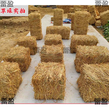 �ݶ� �ݶ� ���ΈA�βݶ����r�Ҙ������bݶ�����Ĕz���߸ɵ���