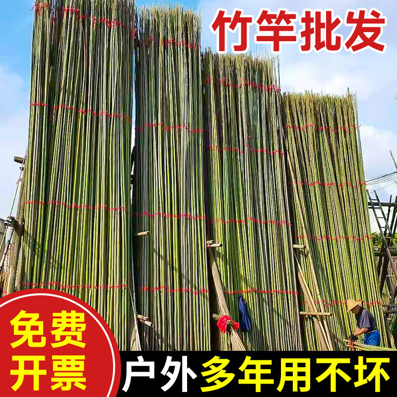 籐の竹竿に登る春の野菜棚菜園は竹の屋外の旗のフェンスの竹の棒の卸売りを掛けます。|undefined