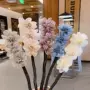 新款女友百搭甜美头扎