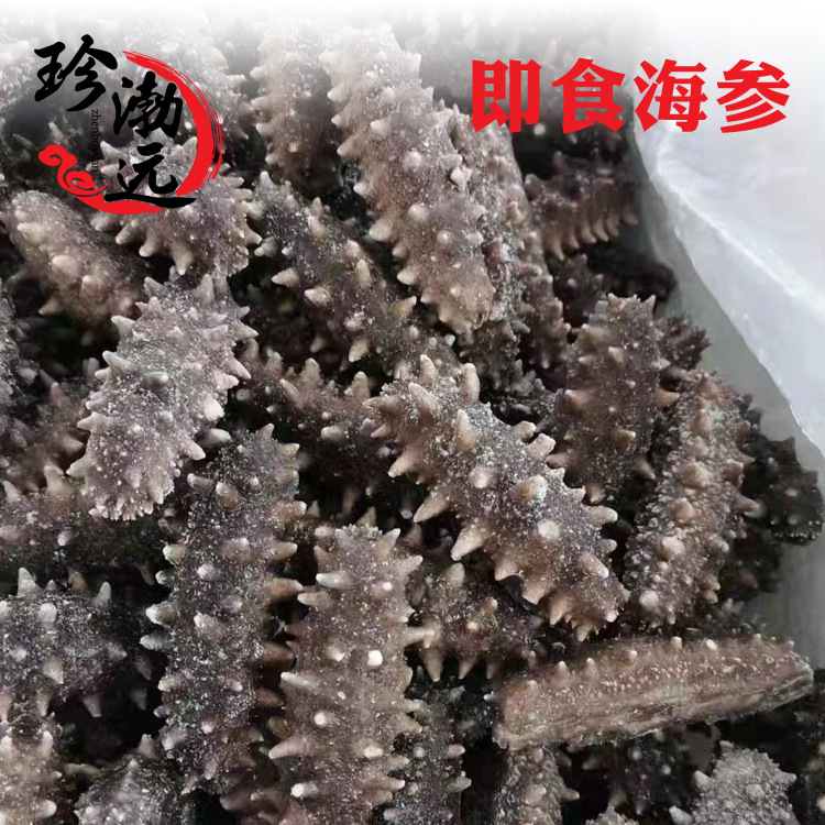 批发大连即食海参特好口感劲道有嚼劲6-15头/500g代发货|ru
