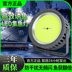 厳選されたLED集魚灯、COB集魚灯、集魚灯、イカ灯、海洋海釣りいかだ集魚灯、防水サーチライト