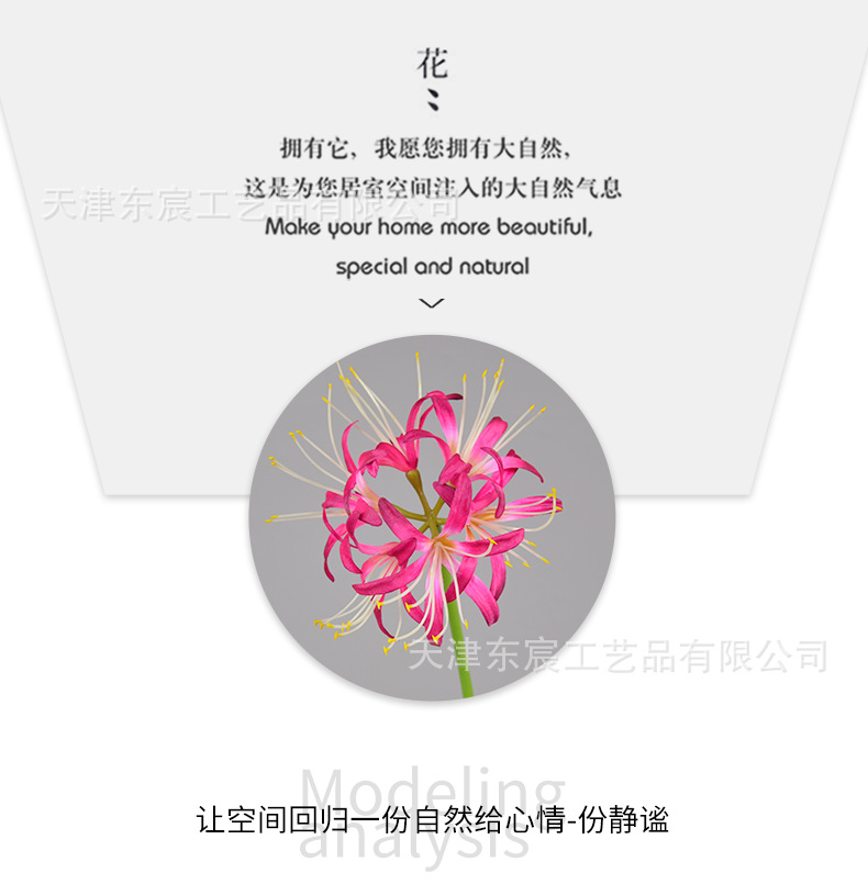 详情_07.png
