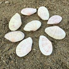 ��Ȼؐ�����ݷ۸�˱������Ѹ��~��ˮ���쾰�[������Ҿ��b�Ʒ