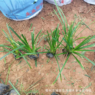 ����̦��С��������G̦���ļ����G�ݻ���һ������·���@С�^�G��