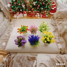 �羳���u����ֲ���ֲ��Gֲ�҃����b����������ȼ���С����