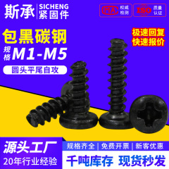 PBメーカー製M1.2m1.7m3m4m5黒色十字穴付きタッピングネジ丸頭十字皿頭タッピングネジ平尾