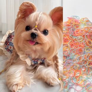 New Trendy Yorkshire Pet Disposable Rubber Band Hair Leather Cover High Elastic Durable Hair Rope Hair Ring Hair Accessories