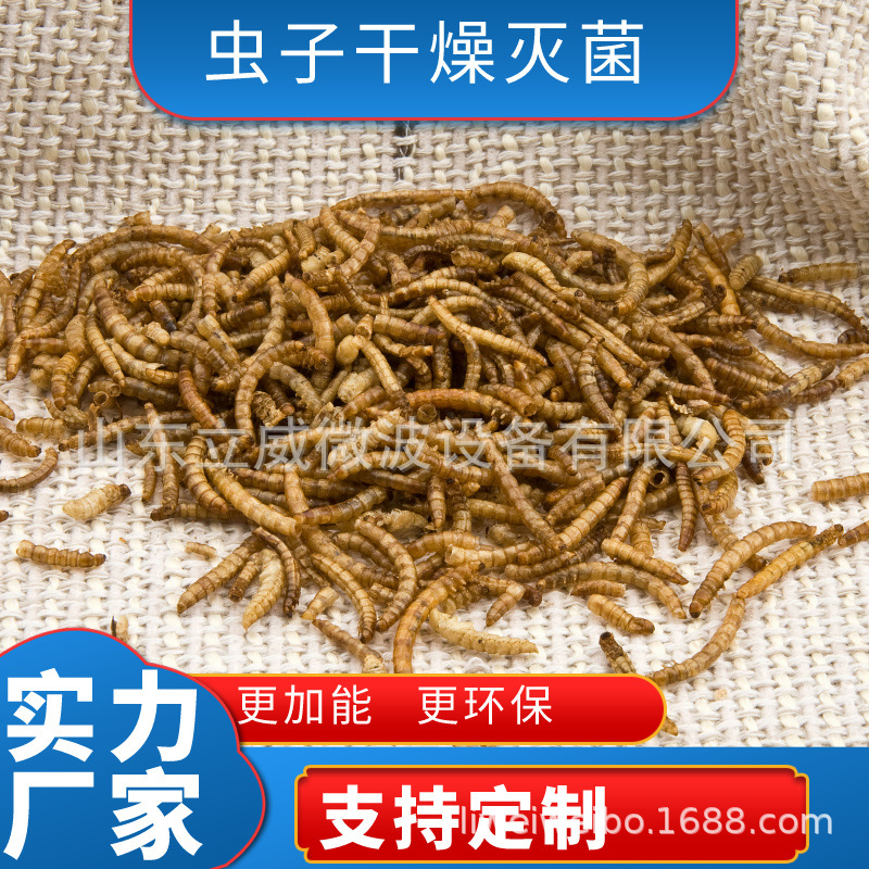 昆虫类干燥烘干机 空气能全自动虫子黑水虻高温烘烤设备