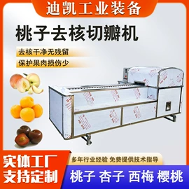 休闲食品加工;气流干燥设备;扒炉/铁板烧