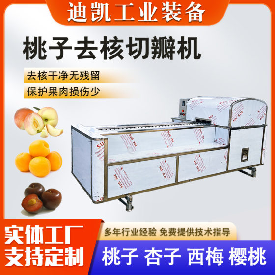 Fully Automatic Peach Corer, Peach Corer and Cutting Equipment, Yellow Peach, Apricot, Prune, Corer and Cutting Machine