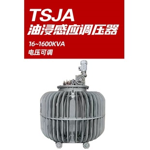 ʏ������Б�ʽ�{����TSJA-250KVA�ͽ�ʽ�Ԅ��{��׃����0~650V�