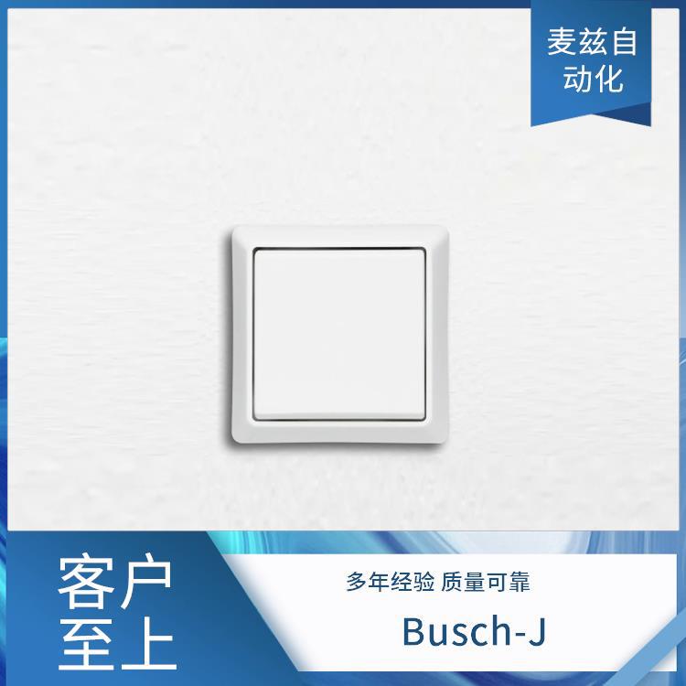 插座 2CKA006330A0097 Busch-Jaeger 家庭控制 3558A-W80340 B