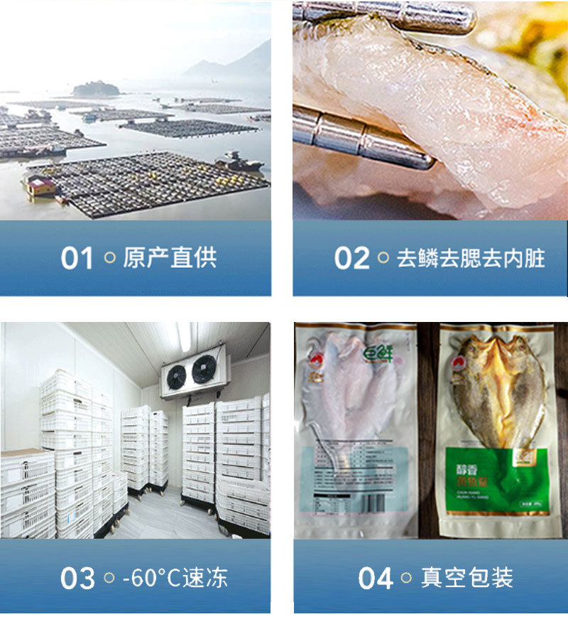 大黄鱼---副本_03