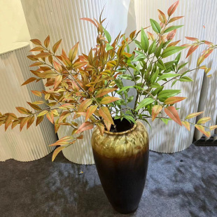 ���������Gֲ�͏d�[�O�ٻ���֦�廨�҃ȷ���ֲ���R��ľ�b[��