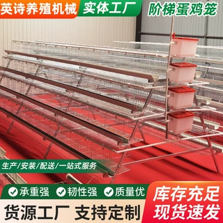 四层四门阶梯式蛋鸡笼加密防啄笼底自动集蛋小型养鸡场产蛋鸡笼