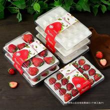 精品草莓盒一次性高档11粒包装盒泡沐内托防震网红加厚塑料打包盒