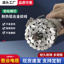 铝包钢芯耐热铝合金绞线JNRLH1/LB20A300/40风力集电线路高抗拉力