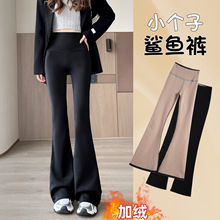 加绒鲨鱼喇叭裤女2025新款秋冬加绒高腰休闲显瘦小个子微喇瑜伽裤