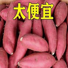 �_��ɳ�������t���F�ڬF�l�ع�ɽ�������������ŴܛŴ9����]