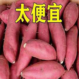 开封沙地蜜薯红薯现挖现发地瓜山芋超甜板栗番薯粉糯软糯9斤包邮