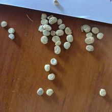 l˅NLɽҰɽ󅢷Nļ̨׳ɻN