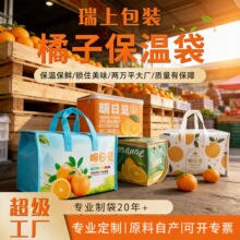 大容量冰包柑橘粑粑柑水果保鲜包装袋明日见杂柑保温袋冰块国潮