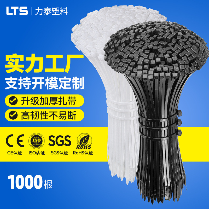 Wholesale self-locking cable ties 3*100*4*150*5*200*8*300 plastic cable ties